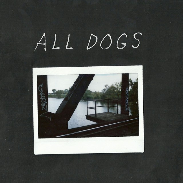 All Dogs 7