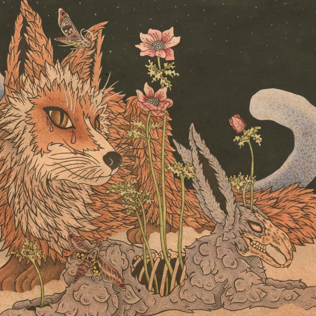 planes-mistaken-for-stars-prey