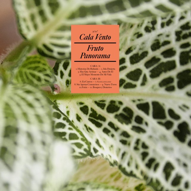 cala-vento-fruto-panorama